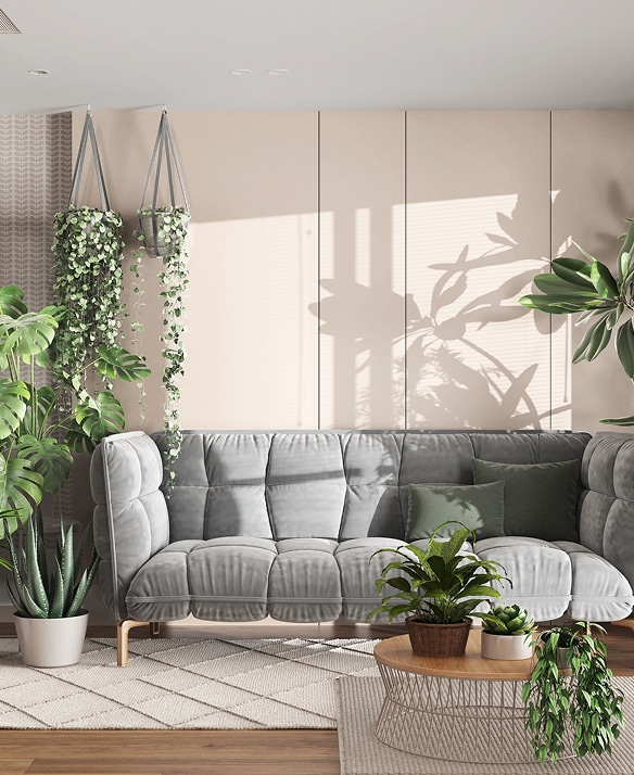 Salon moderne lumineux avec canapé gris velours, plantes vertes luxuriantes (suspensions, monstera), table basse. Ombres végétales sur mur beige.
