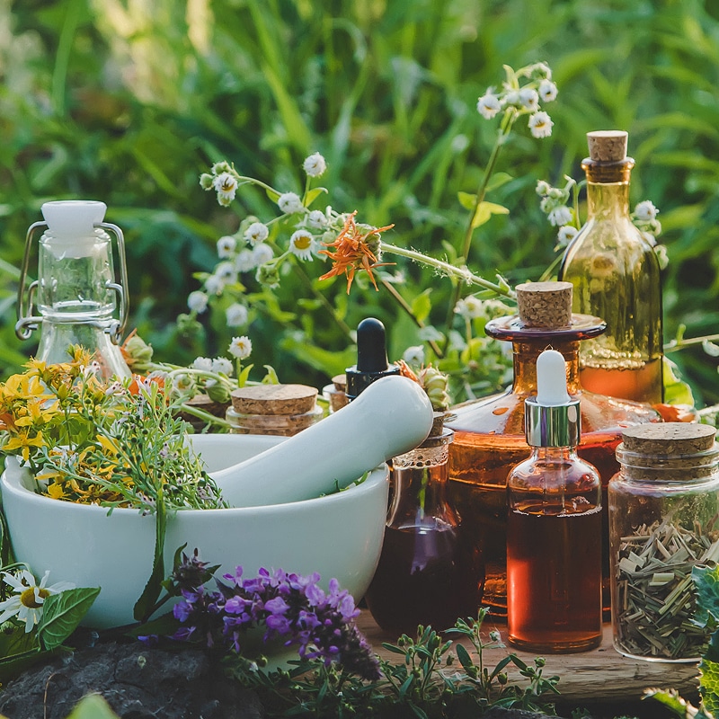 Mortier et pilon avec herbes fraîches, flacons d'huiles essentielles et remèdes naturels, sur fond de verdure luxuriante.